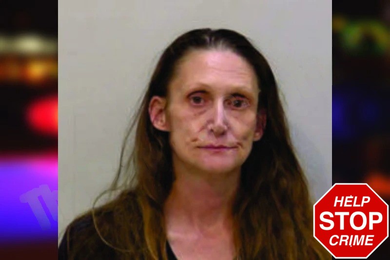 Angela Shepherd mugshot – Bartow County , Georgia Angela Shepherd mugshot