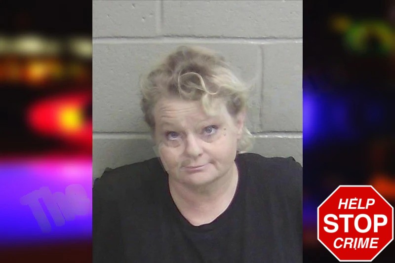 Angela Walker mugshot – Wayne County , Georgia Angela Walker mugshot