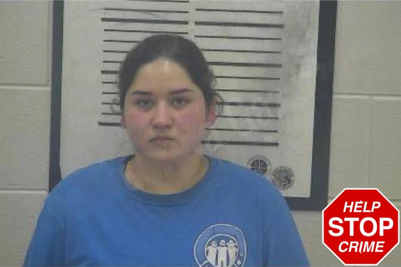 Angelica Rocio Mugshots