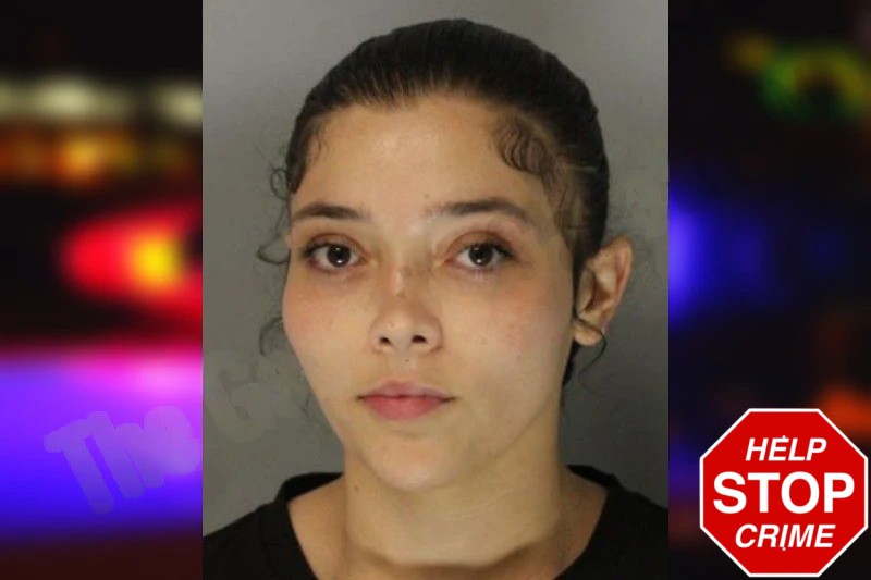 Angelice Valles Mugshots