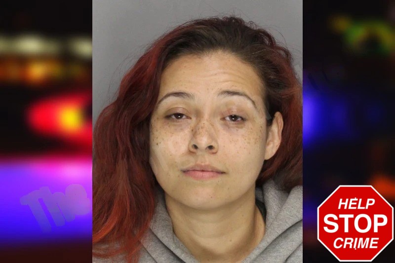 Angelika Colon Mugshots
