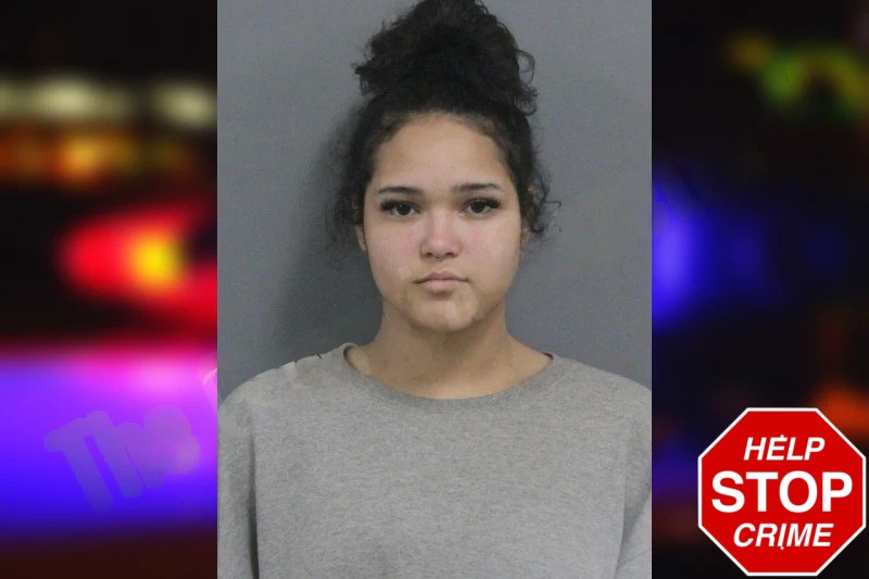 Angelina Jones mugshot – Catoosa County , Georgia Angelina Jones mugshot