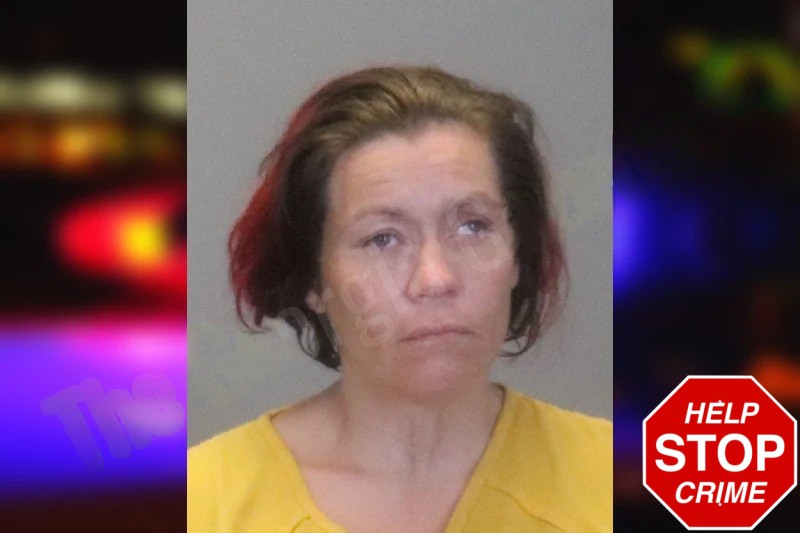 Angelique Hartman Mugshots