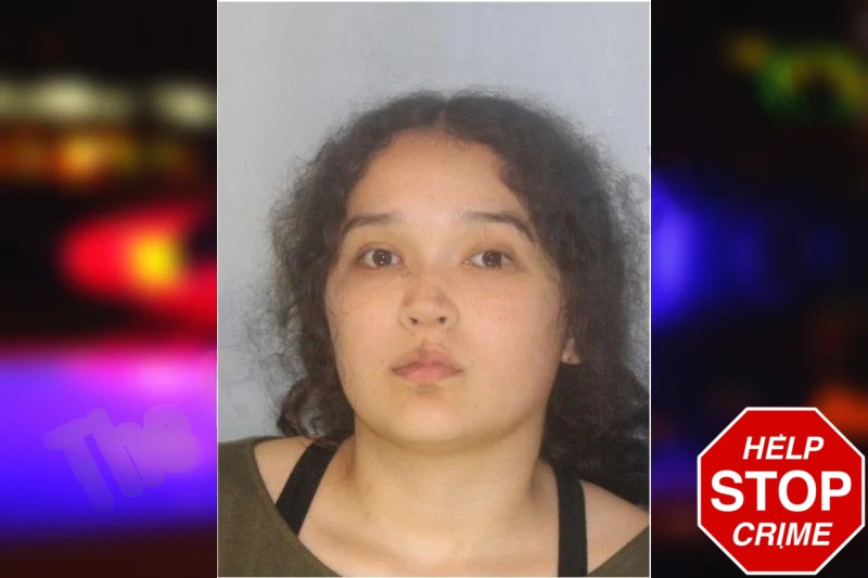 Angelyn Arevalo-Palacios Mugshots