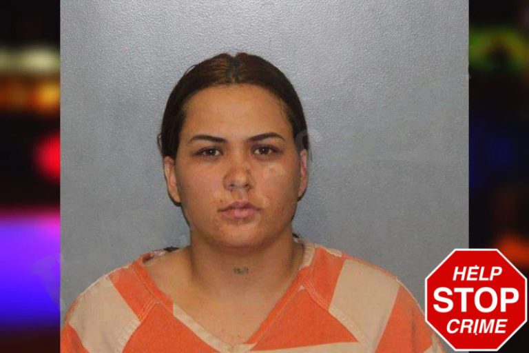 Angi Arias Artega mugshot β White County , Georgia Angi Arias Artega