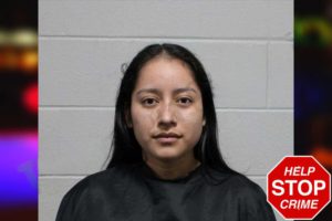 Anielka Diaz mugshot