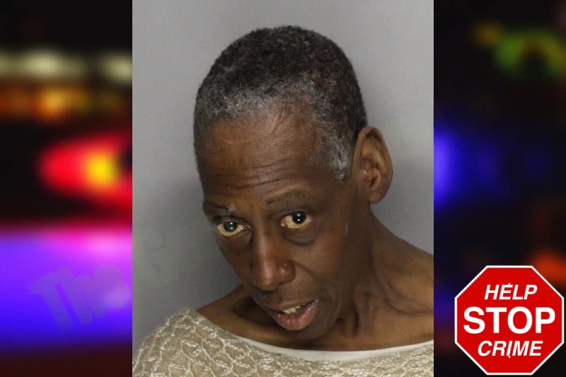 Anita Aiken mugshot – Cobb County , Georgia Anita Aiken mugshot