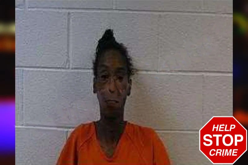 Anita Alford Mugshots