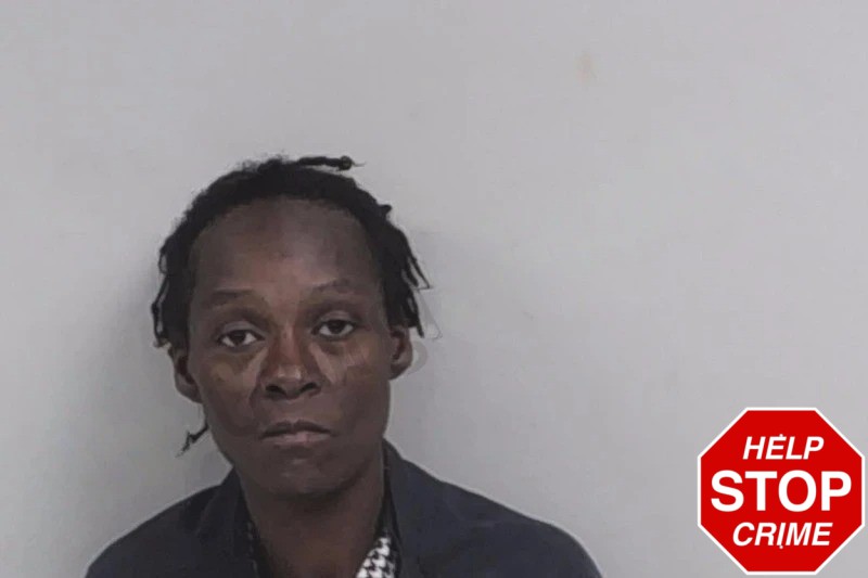 Anita Mitchell Mugshots