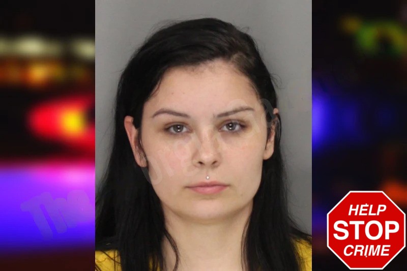 Anjolique Santiago mugshot