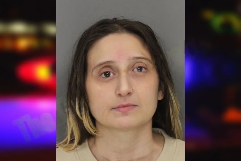 Annie Mace mugshot – Cobb County , Georgia Annie Mace mugshot