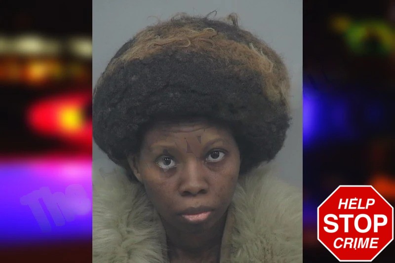 Annie Tisdale mugshot