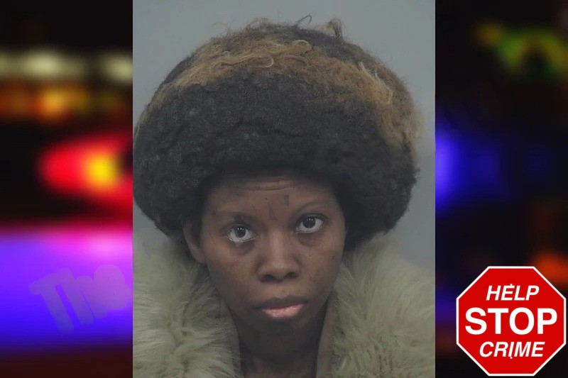 Annie Tisdale Mugshots