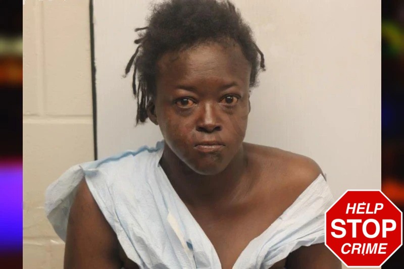 Annie Wright mugshot – Chatham County , Georgia Annie Wright mugshot