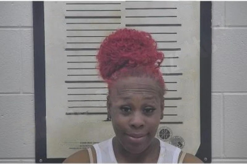 Annielanet Dover Mugshots