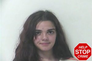 Ansley Dion mugshot