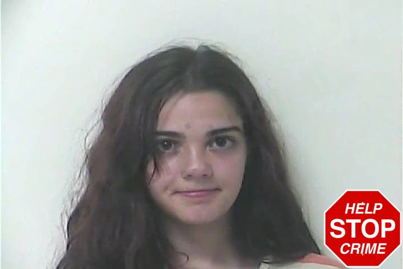 Ansley Dion mugshot