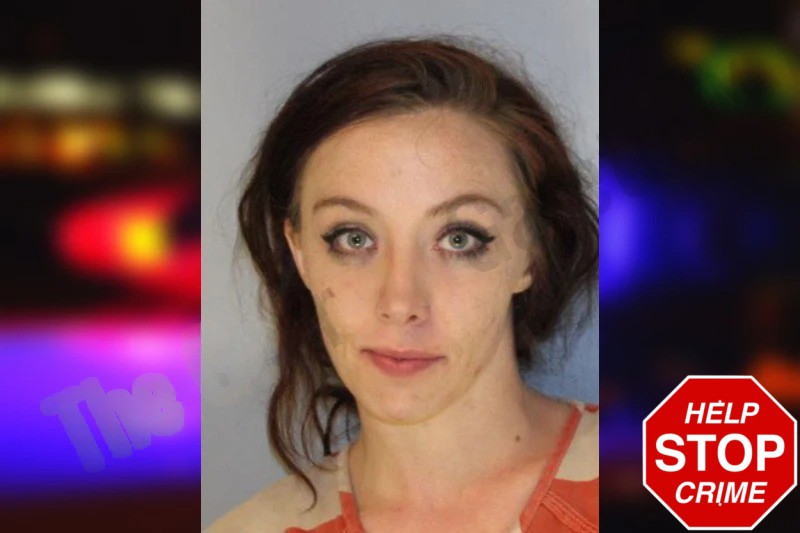 Ansley Stanley Mugshots