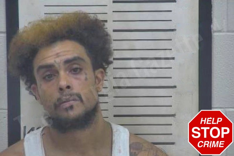 Anthony Droll Mugshots