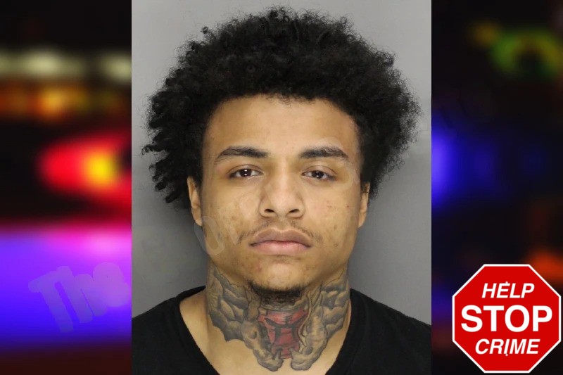 Anton Vanegas Mugshots