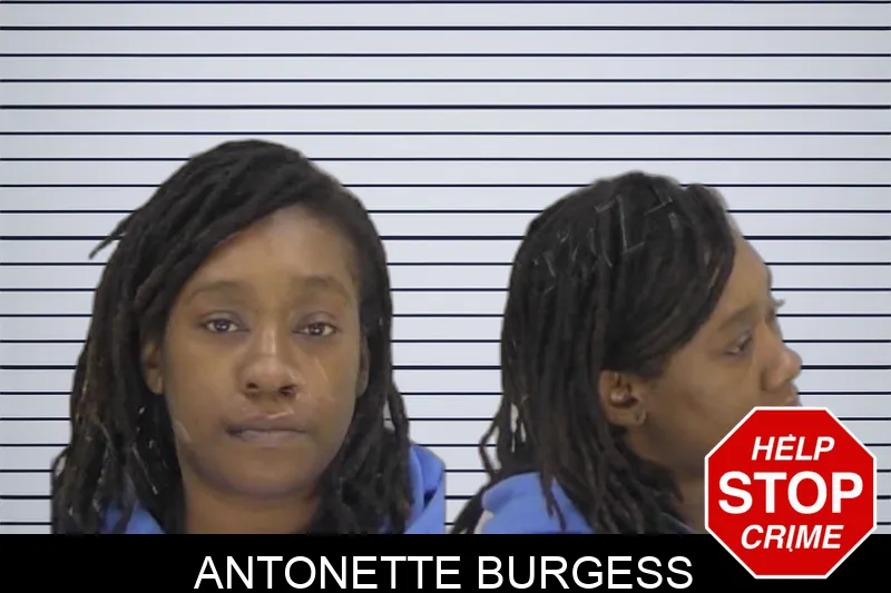 Antonette Burgess Mugshots