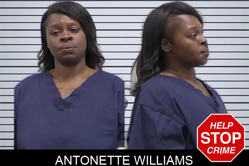 Antonette Williams Mugshots