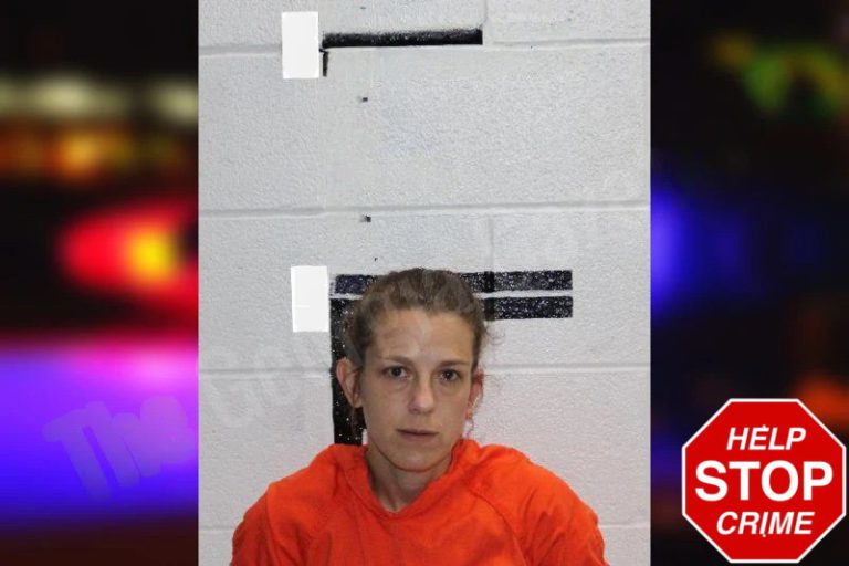 April Doss mugshot – Murray County , Georgia April Doss