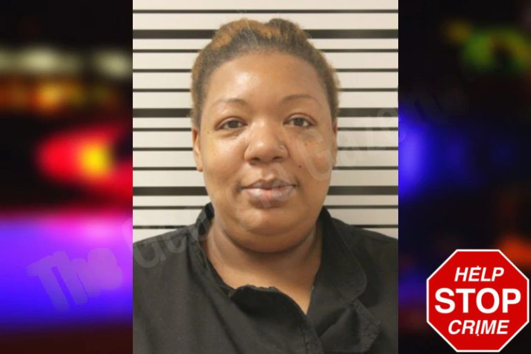 April Gillis mugshot – Toombs County , Georgia April Gillis