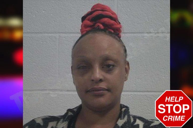 April Harper mugshot – McDuffie County , Georgia April Harper