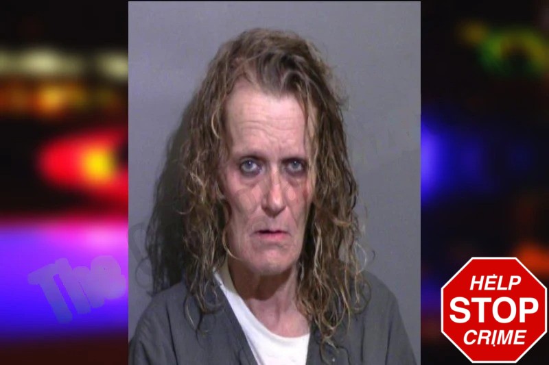 April Lavalle Mugshots