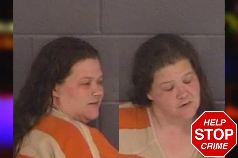 April Shedd Mugshots