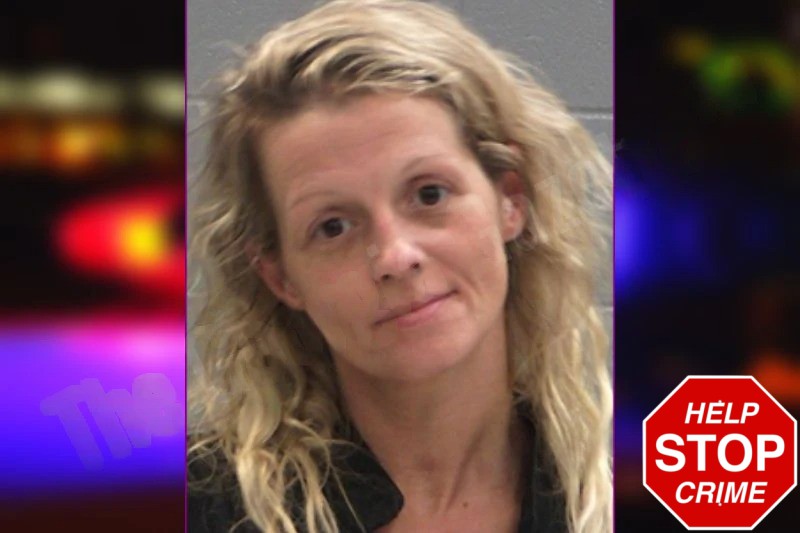 April Spires Mugshots