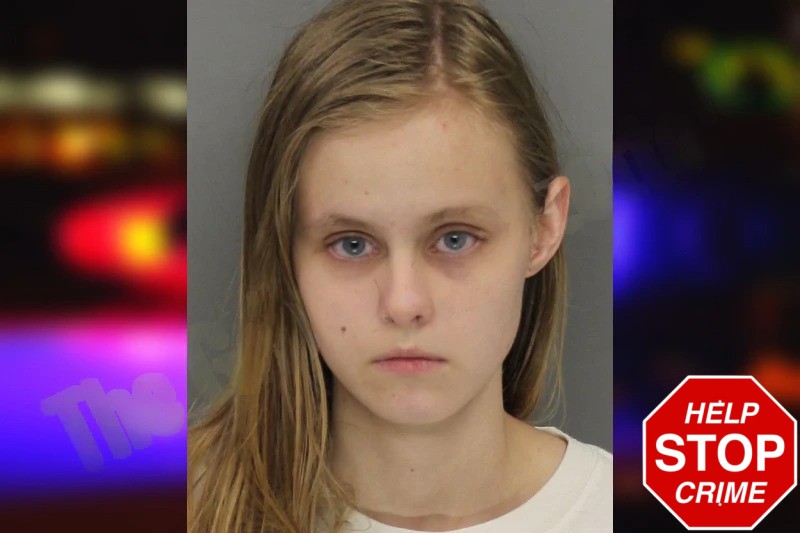 Arainia Pinnow mugshot