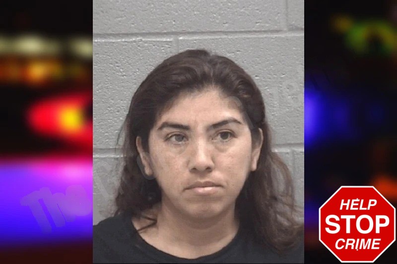 Areli Garcia-Gama Mugshots