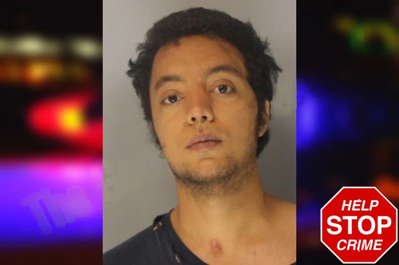 Arian Motamedi Mugshots