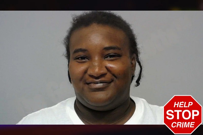 Arianna McLendon Mugshots