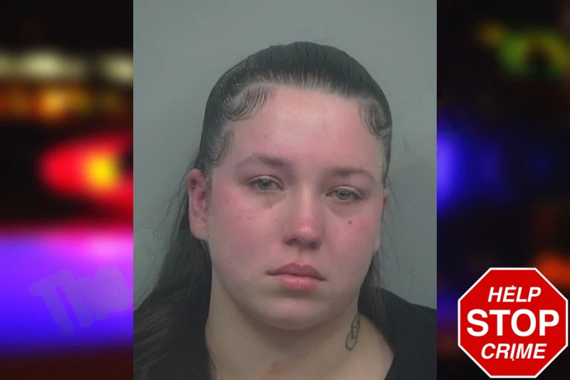 Ariel Brewington mugshot