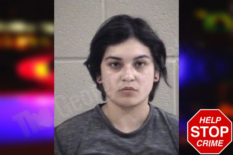 Ariel Morales mugshot