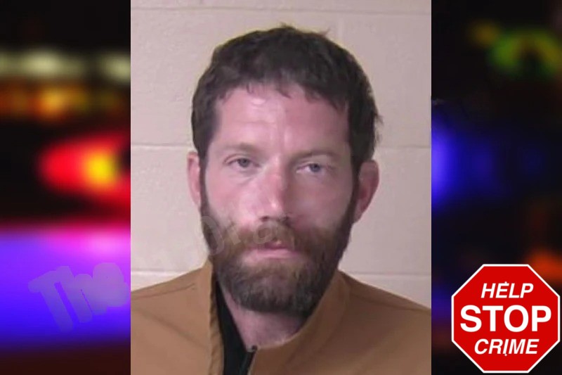 Arran Johnson Mugshots