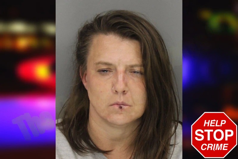 Ashlee Rowland Mugshots