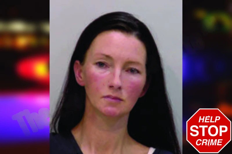 Ashleigh Wilson mugshot – Bartow County , Georgia Ashleigh Wilson mugshot