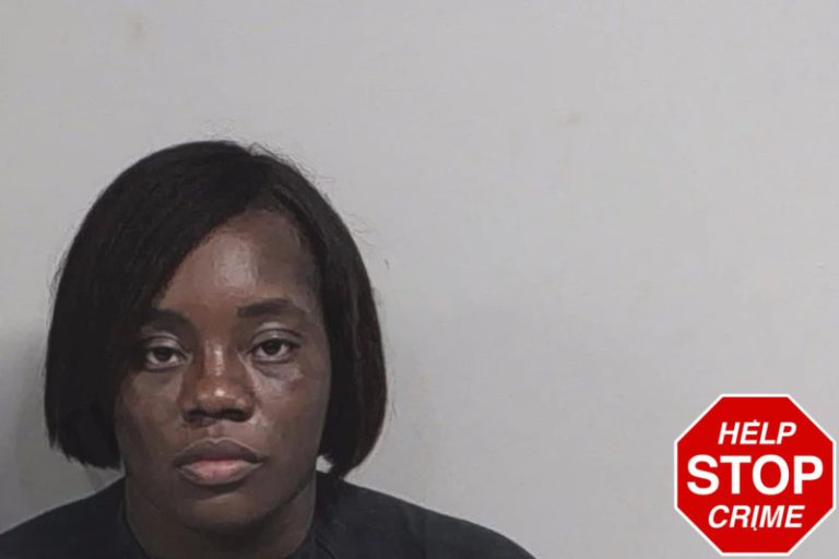 Ashley Belcher mugshot – Lowndes County , Georgia Ashley Belcher