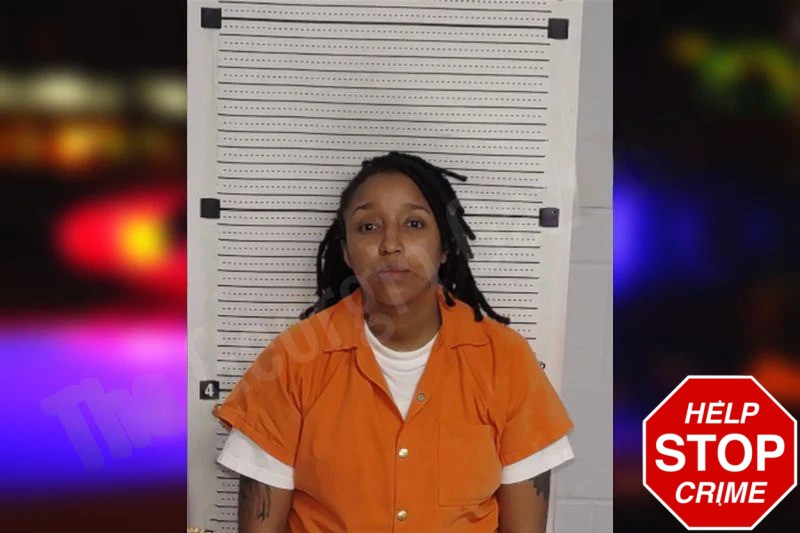 Ashley Brinkley mugshot