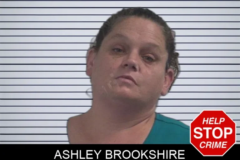 Ashley Brookshire mugshot – McDuffie County , Georgia Ashley Brookshire