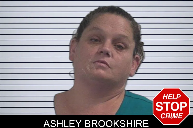Ashley Brookshire Mugshots