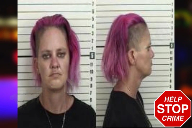 Ashley Chestnut mugshot