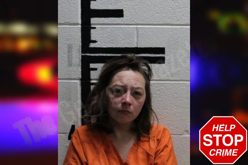 Ashley Derringer Mugshots