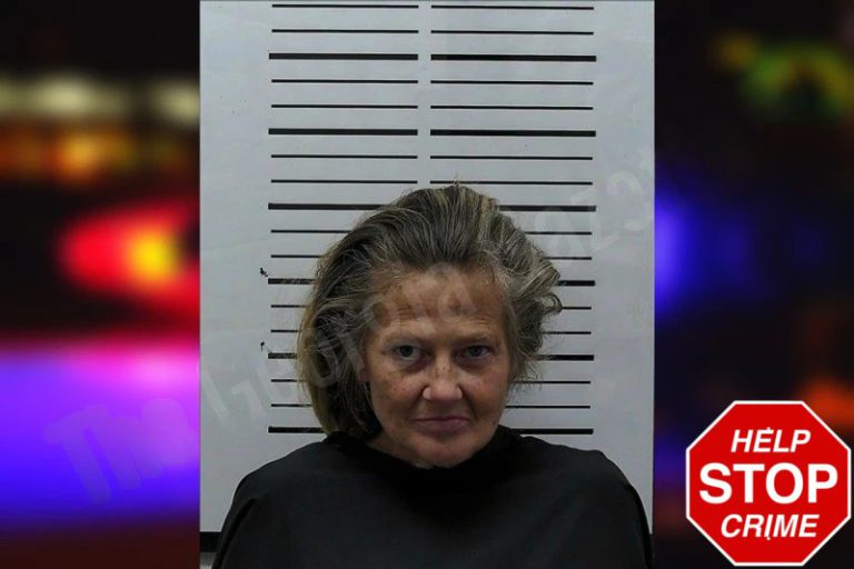 Ashley Evans mugshot – Hart County , Georgia Ashley Evans
