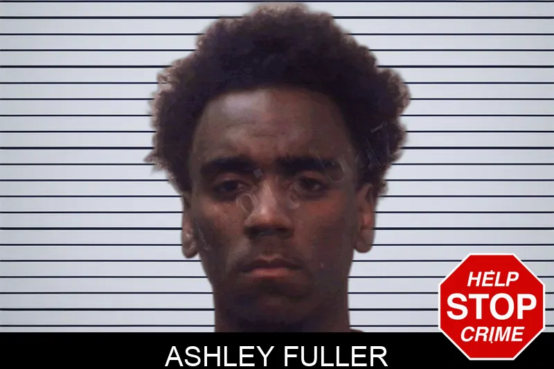 Ashley Fuller Mugshots