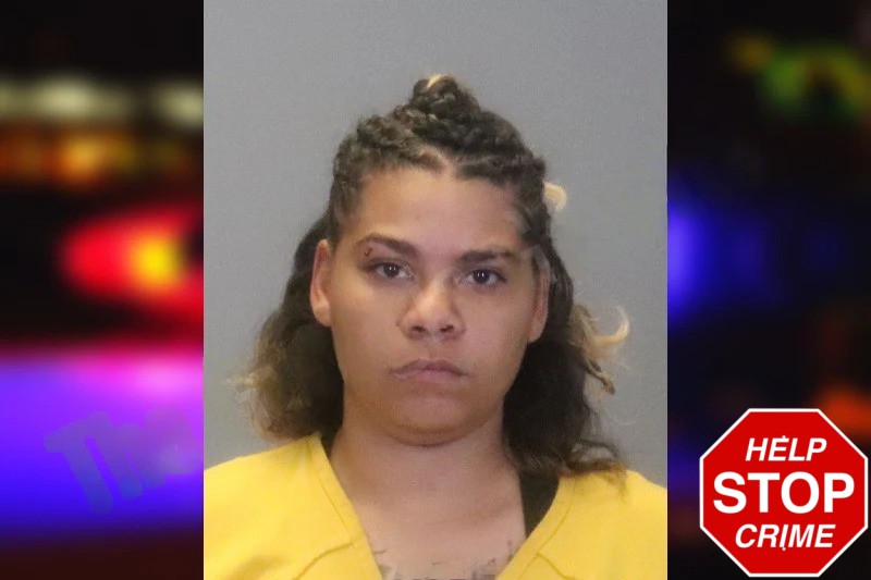 Ashley Harris Mugshots